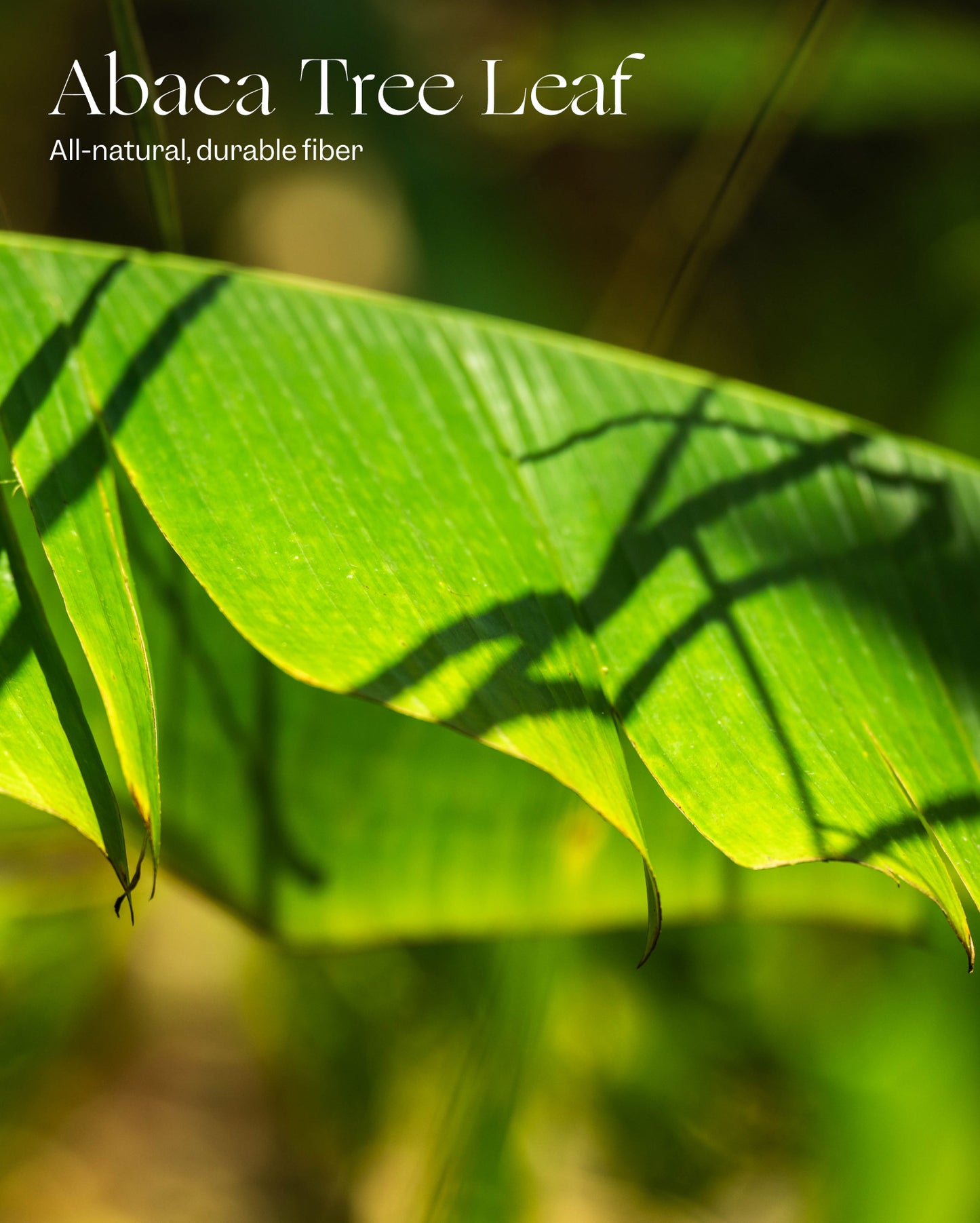 Cabas en paille VIOLETTE_FR x LIKHÂ