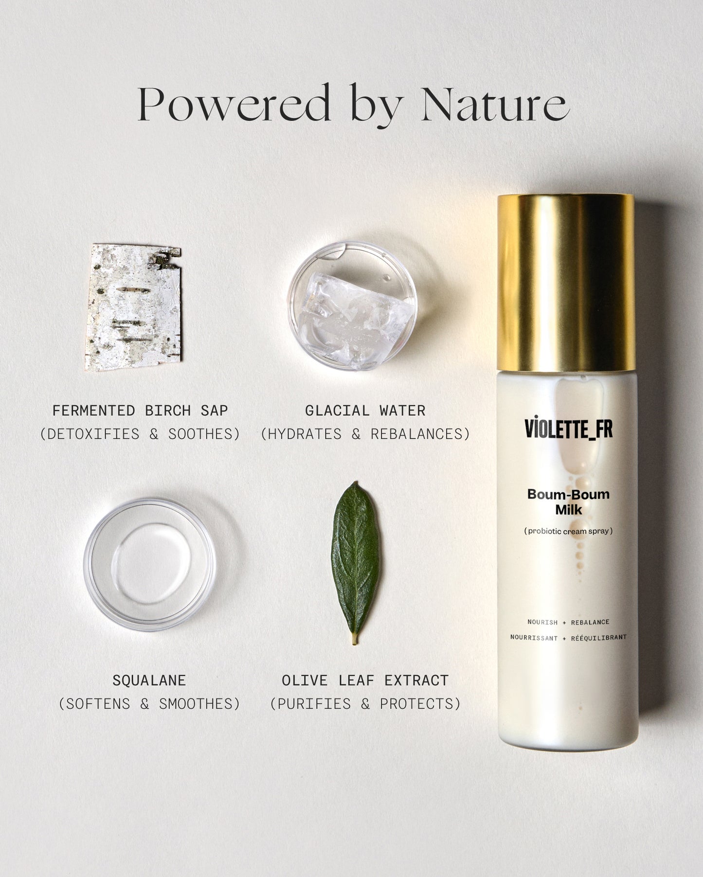 Powered by Nature. A VIOLETTE_FR Boum-Boum Milk (3-in-1 cream spray) bottle with a gold cap, surrounded by its ingredients: Fermented Birch Sap (detoxifies & soothes), Glacial Water (hydrates & rebalances), Squalane (softens & smoothes), and Olive Leaf Extract (purifies & protects).