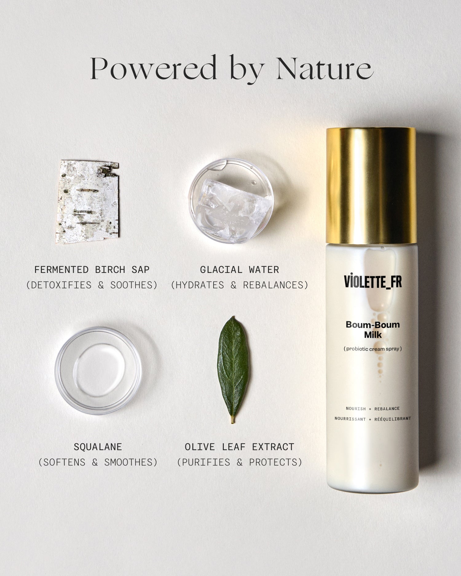 Boum-Boum Milk - 50 ml - Powered by Nature. A VIOLETTE_FR Boum-Boum Milk (3-in-1 cream spray) bottle with a gold cap, surrounded by its ingredients: Fermented Birch Sap (detoxifies & soothes), Glacial Water (hydrates & rebalances), Squalane (softens & smoothes), and Olive Leaf Extract (purifies & protects). - Image 9 of 16