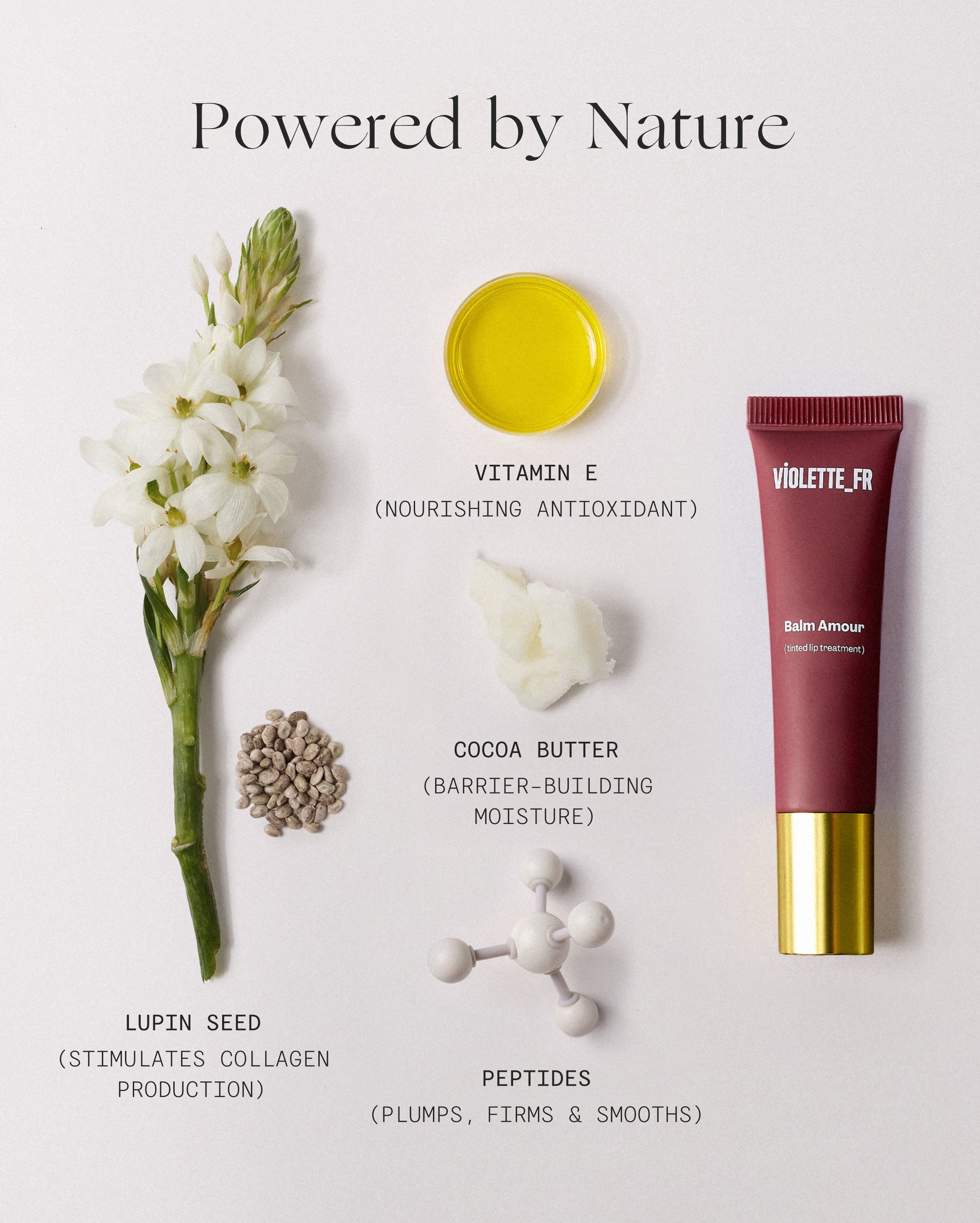 Balm Amour - Noisette - Balm Amour - Dahlia Noir - Image 29 of 29