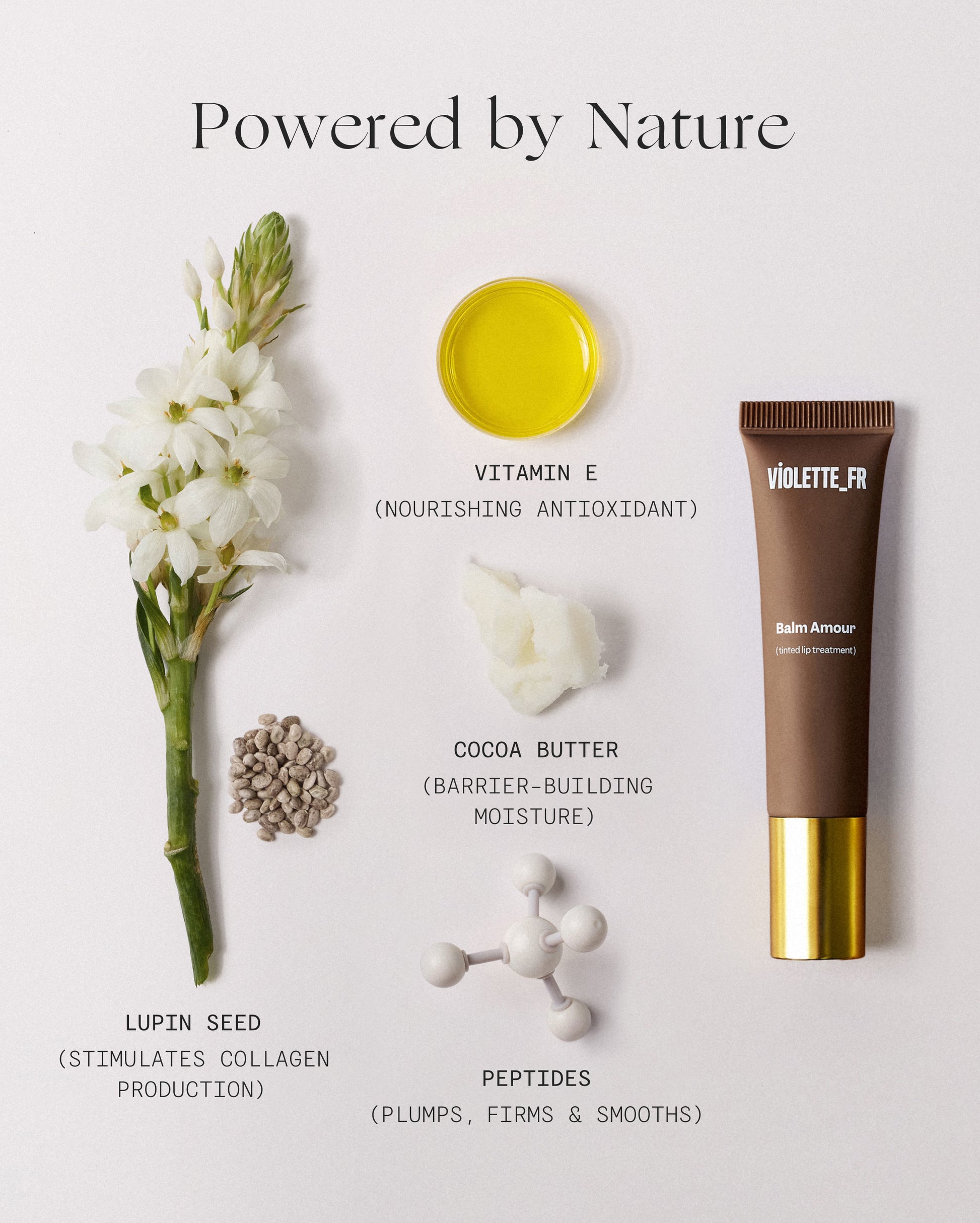 Balm Amour - Noisette - Image 12 of 16