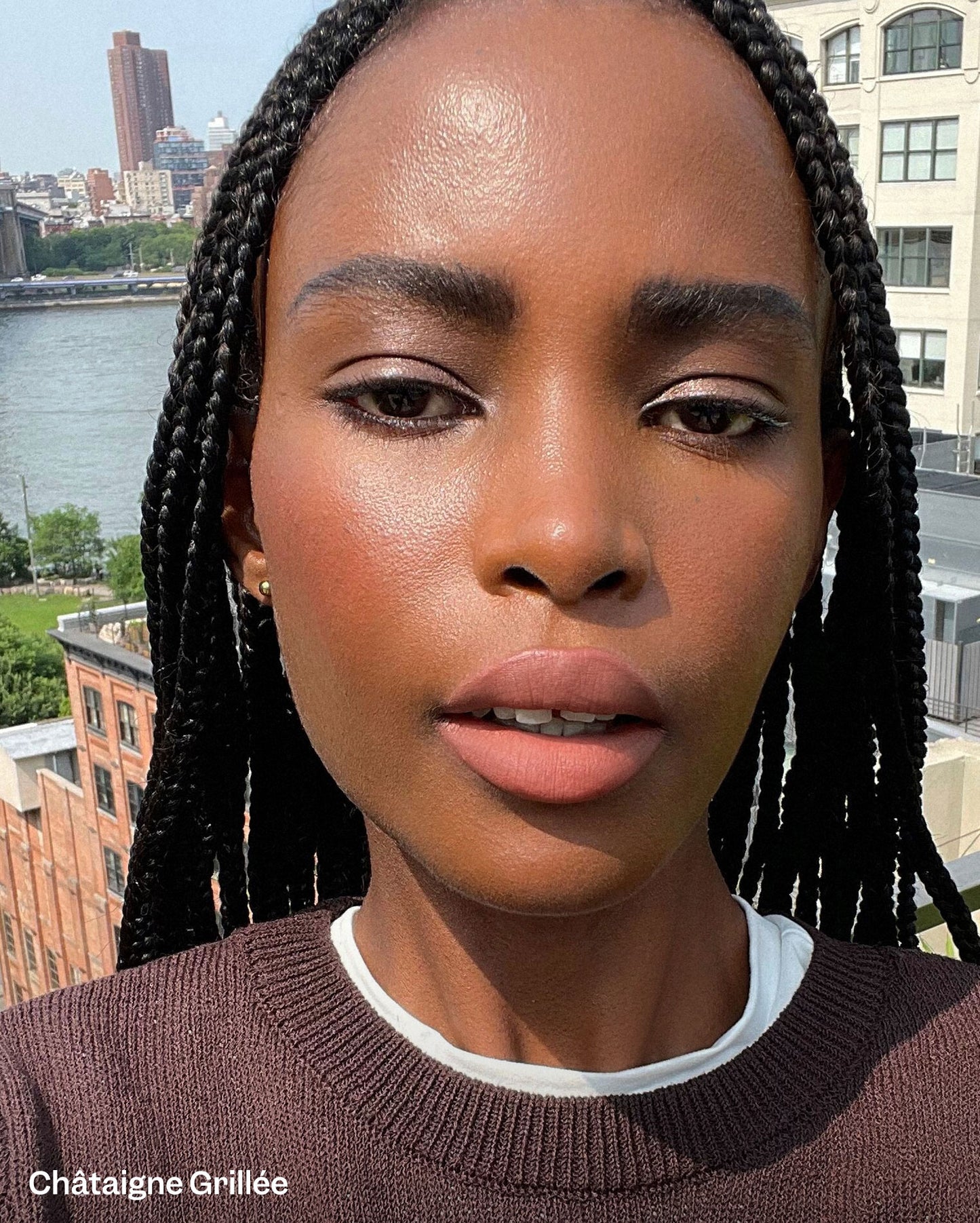 Plume Lèvres - Châtaigne Grillée